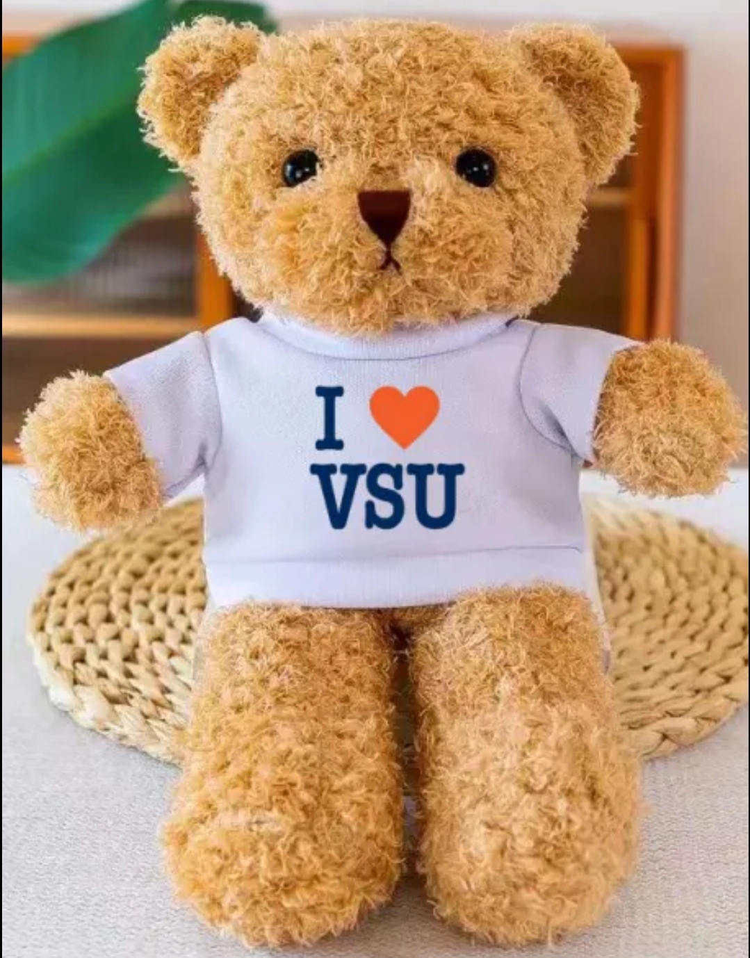 I 🧡 VSU TEDDY BEAR